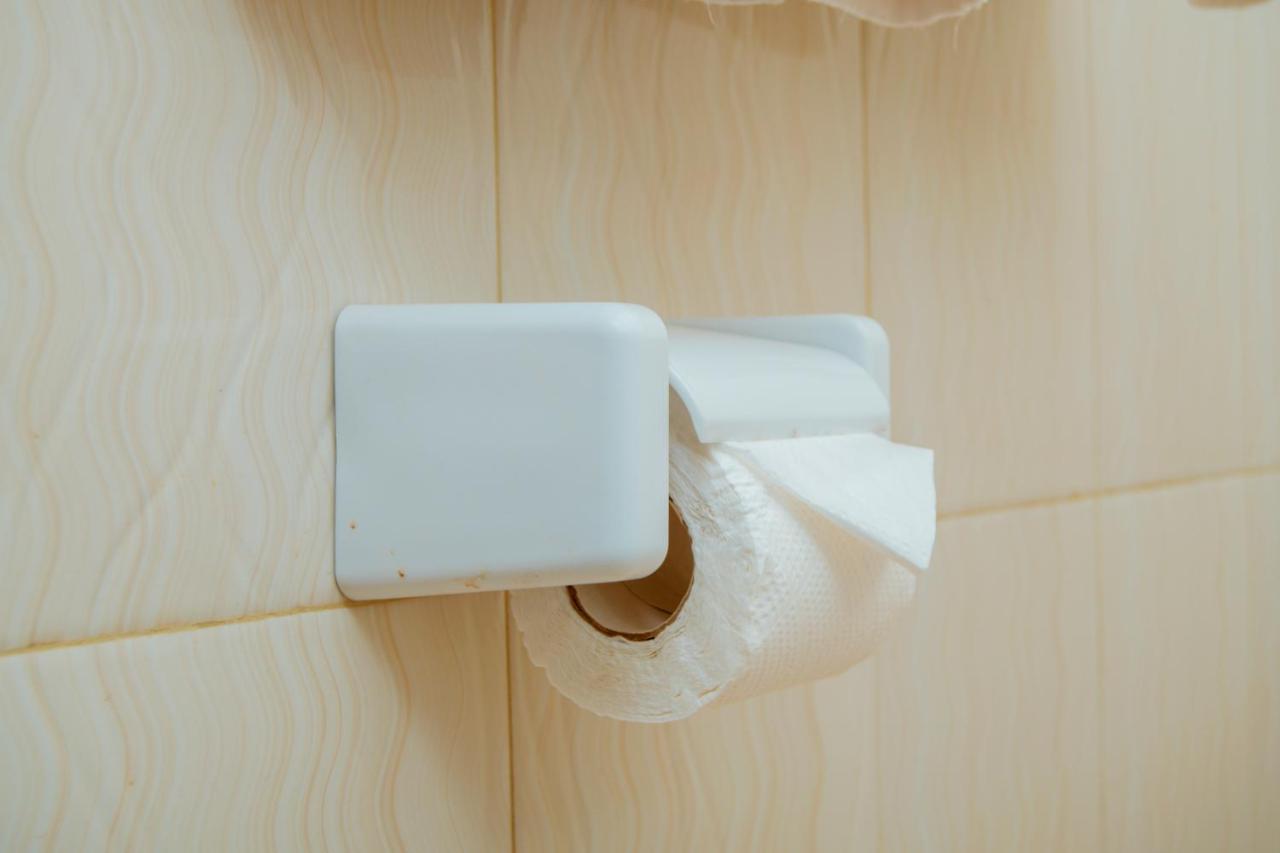 The Belle View Inn Bed & Breakfast モシ エクステリア 写真